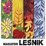 Leśnik Lato 2018