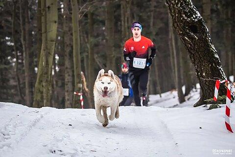 Krzysztof podczas Pogórzański Bieg Górski - Zima 2024