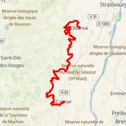 Mapa trasy