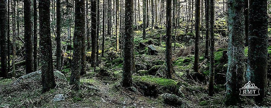 Październik 310k 2021